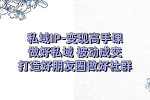 私域IP变现高手课教你打造朋友圈和社群实现被动成交