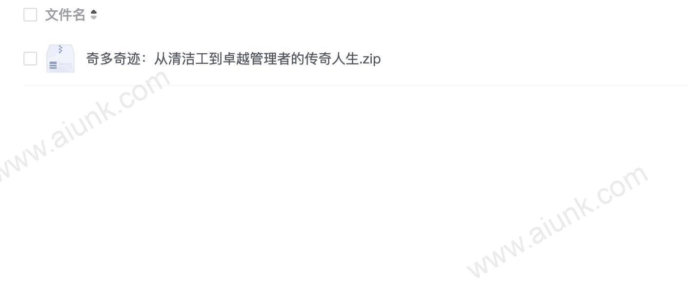 奇多奇迹：从清洁工到卓越管理者的传奇人生