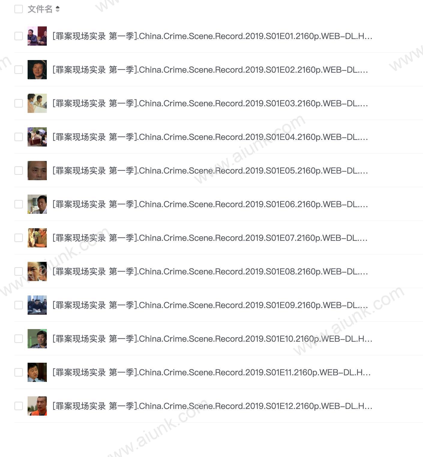 罪案现场实录 第一季(2019)