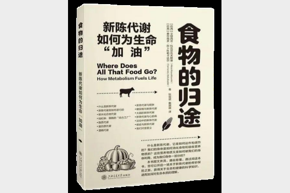 食物的归途：新陈代谢如何为生命“加油”