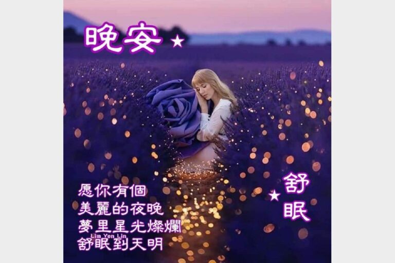 好梦好眠