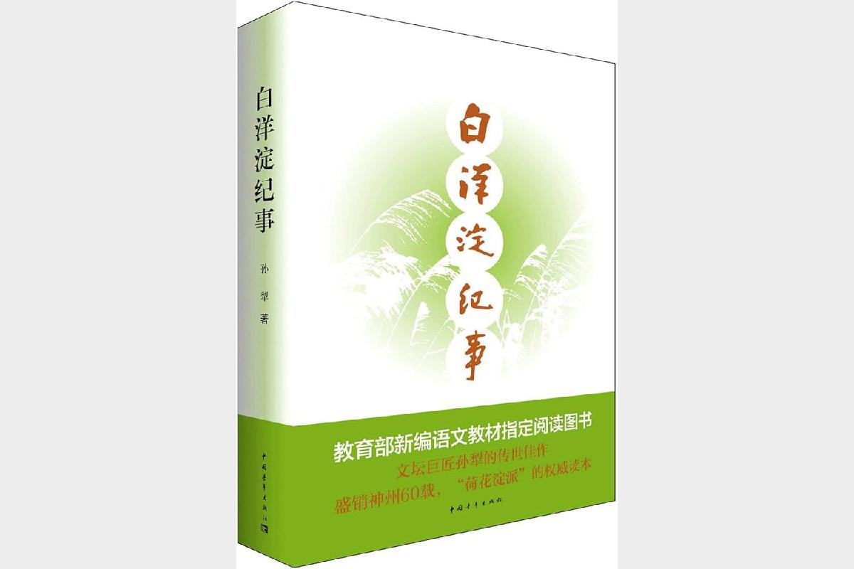 白洋淀纪事 (现代文库)