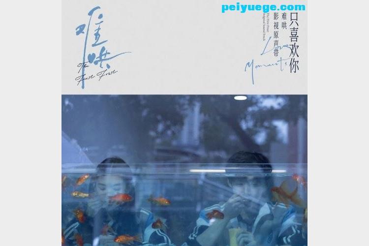 群星.2025 – 难哄 影视原声带【FLAC分轨】