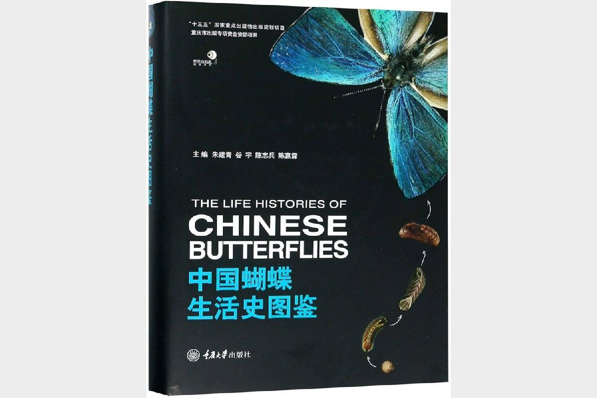 中国蝴蝶生活史图鉴_9787568911917