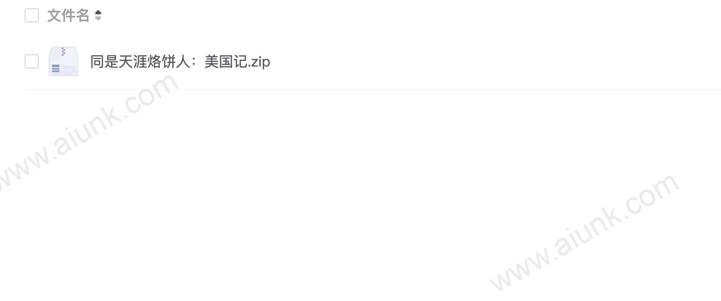同是天涯烙饼人:美国记