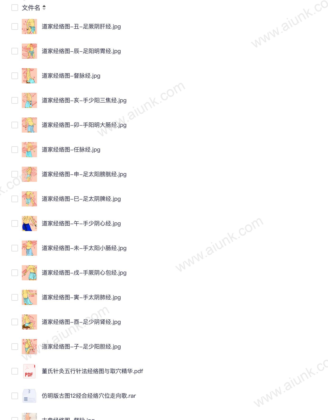 中医经络图全34册详解人体经络穴位与养生疗法