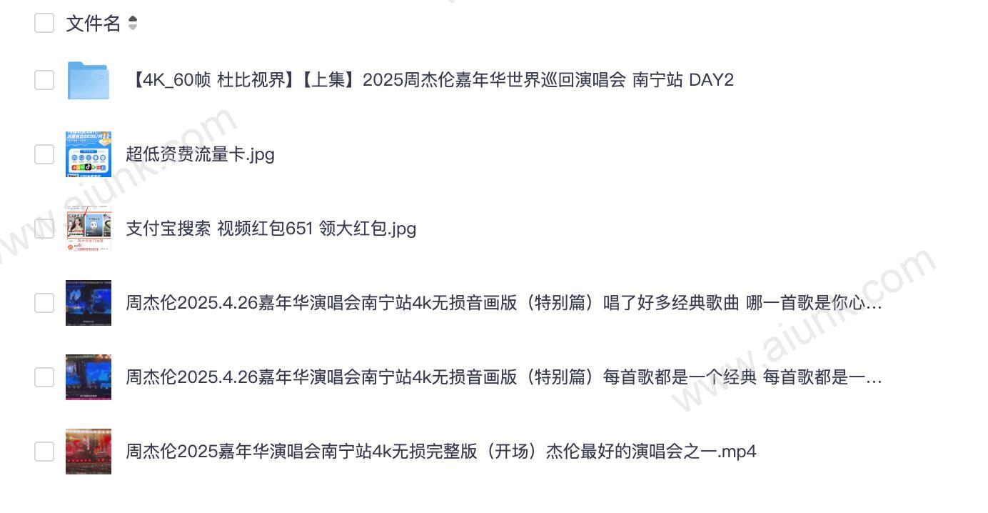 周杰伦2025嘉年华南宁演唱会4K无损音画珍藏版 