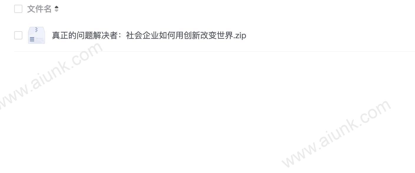 真正的问题解决者:社会企业如何用创新改变世界