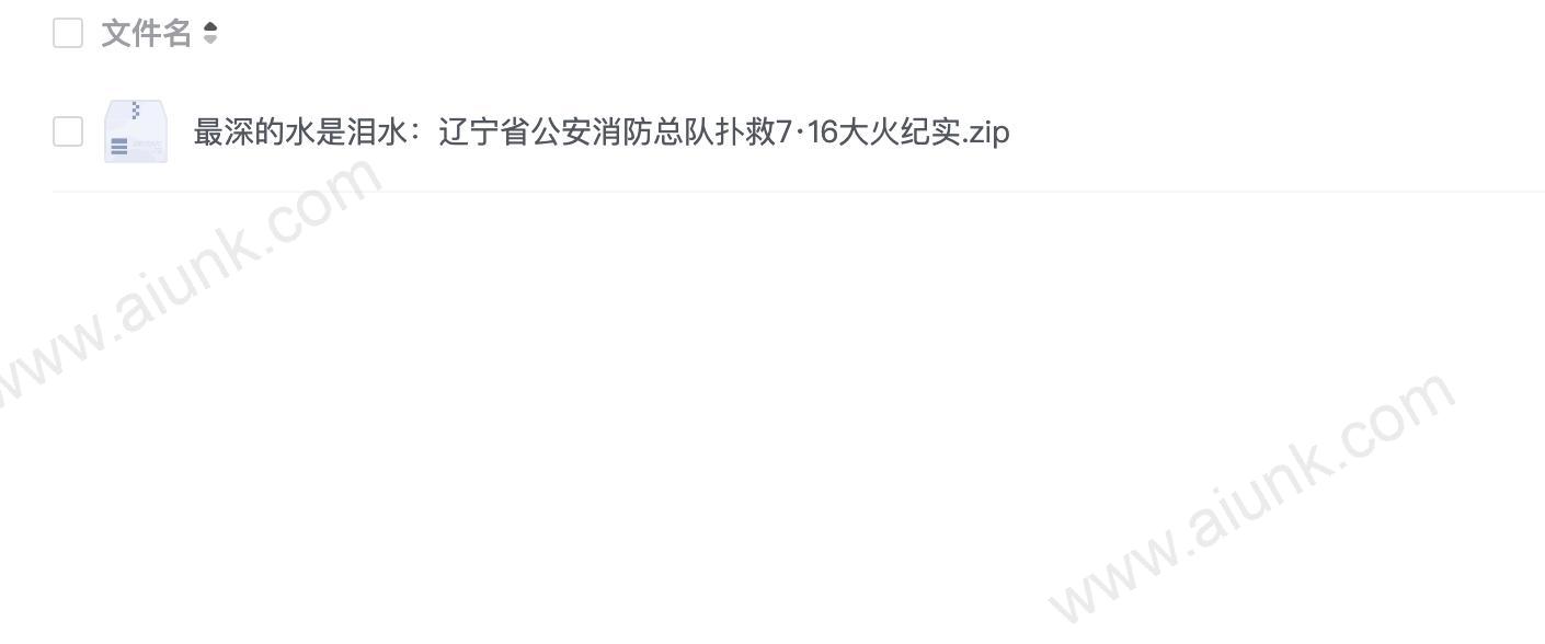 最深的水是泪水:辽宁省公安消防总队扑救7·16大火纪实