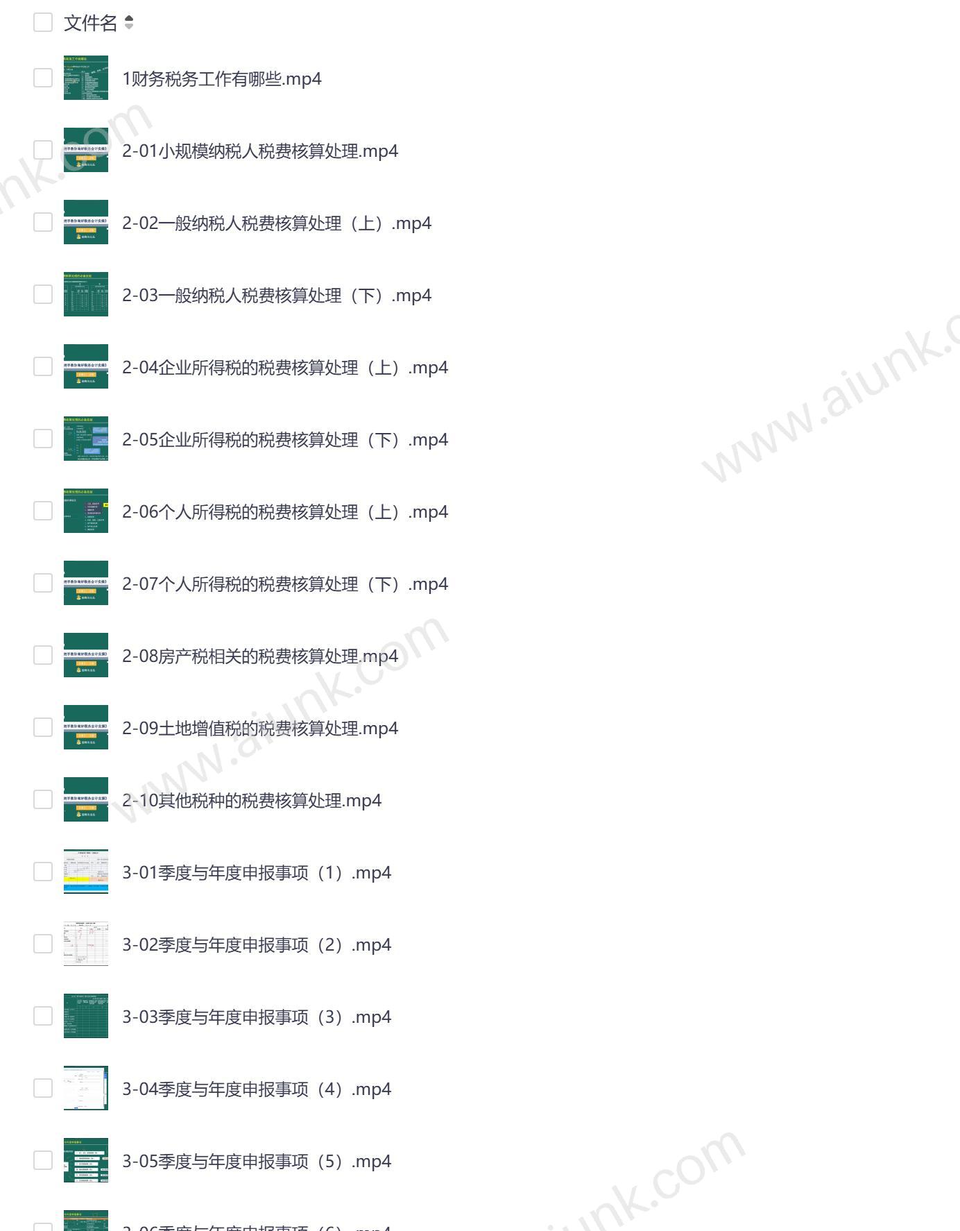 2024年税务师实操指南 蜜蜂岛税务会计全流程精讲从入门到精通