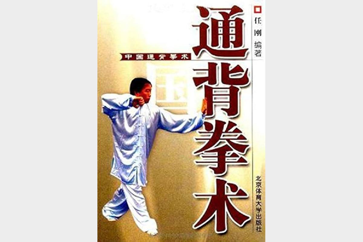 中国通背拳术课程任刚亲授传统武术防身技巧与内功修炼