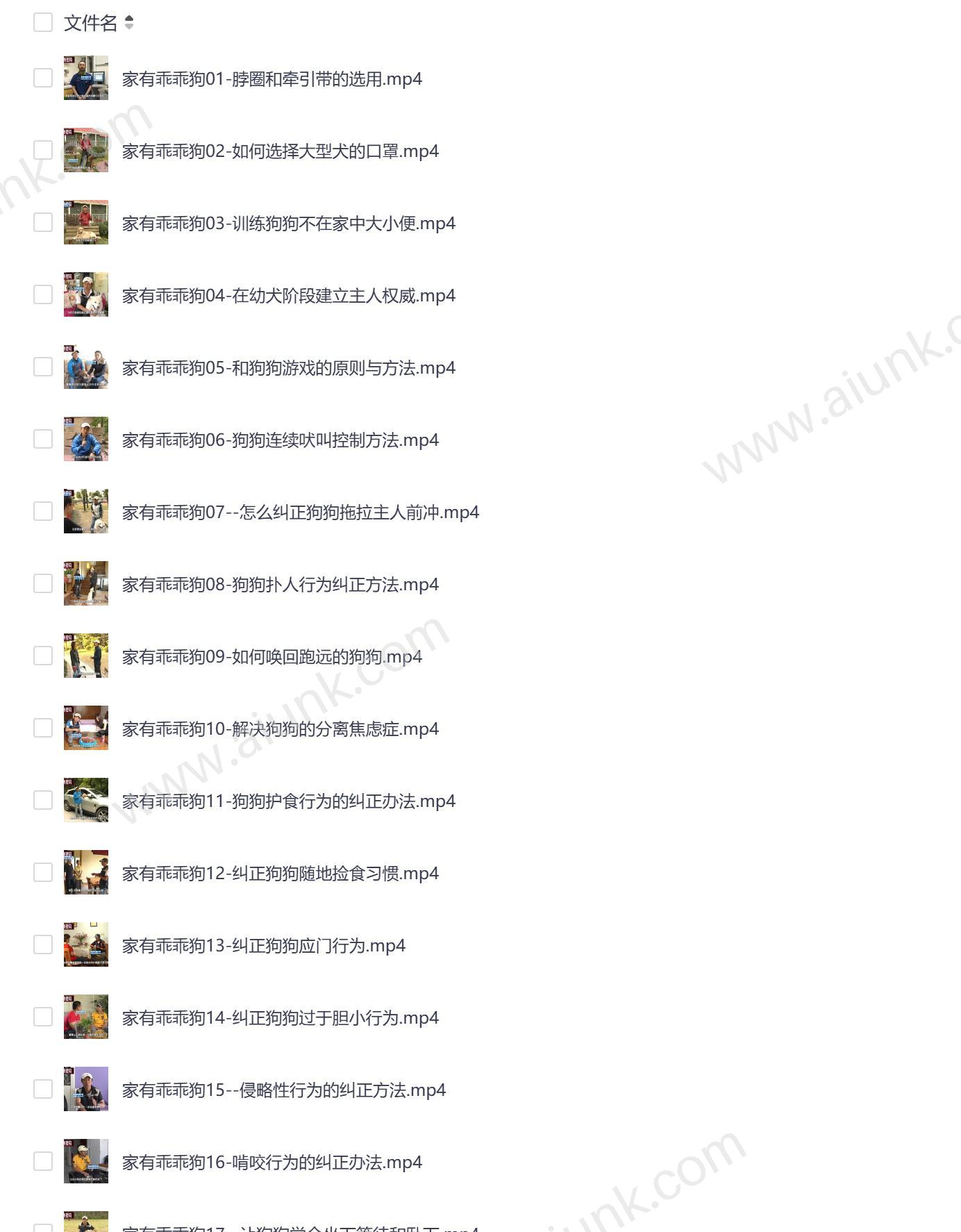 20节狗狗基本训练技巧视频教程轻松掌握训犬秘诀从入门到精通